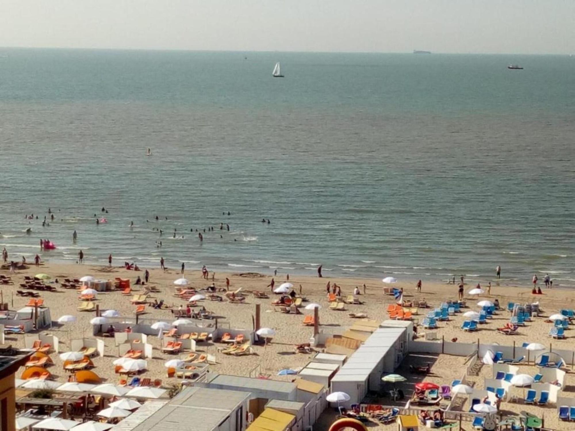 In Blankenbergesal Blankenberge